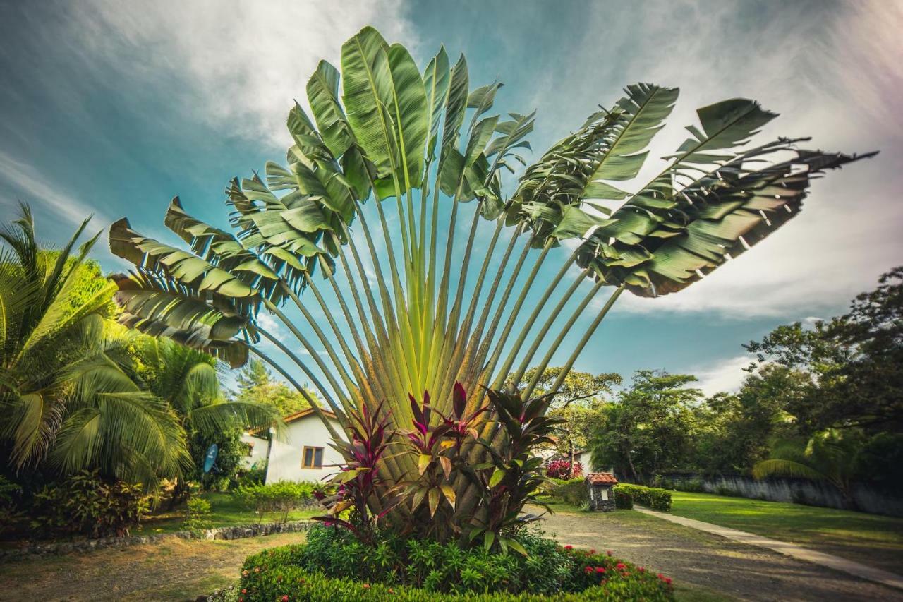 Hotel Santa Catalina Panamá Kültér fotó